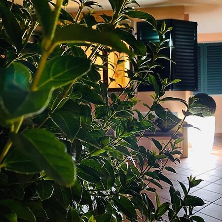The Loft E&E Open Space Емполи Екстериор снимка