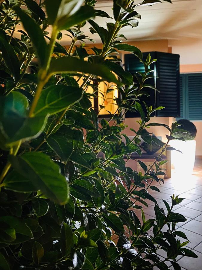 The Loft E&E Open Space Емполи Екстериор снимка